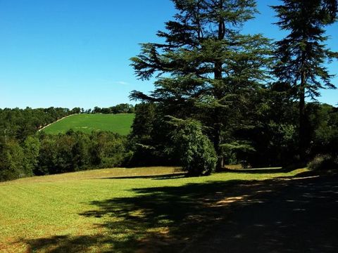 Camping Château de Lacomté - Camping Lot - Image N°28