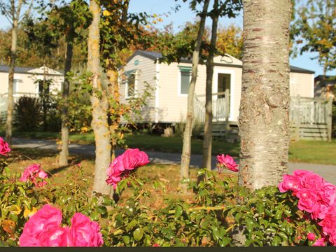 MOBILHOME 6 personnes - O'PHEA 734