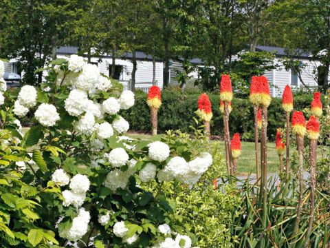 MOBILHOME 6 personnes - O'PHEA 734