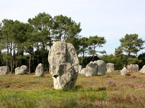 Camping La Ferme de Lann Hoëdic - Camping Morbihan - Image N°71