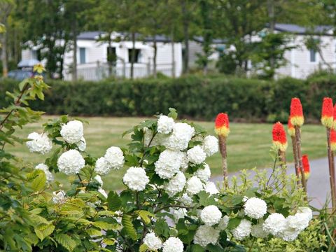 Camping La Ferme de Lann Hoëdic - Camping Morbihan - Image N°26