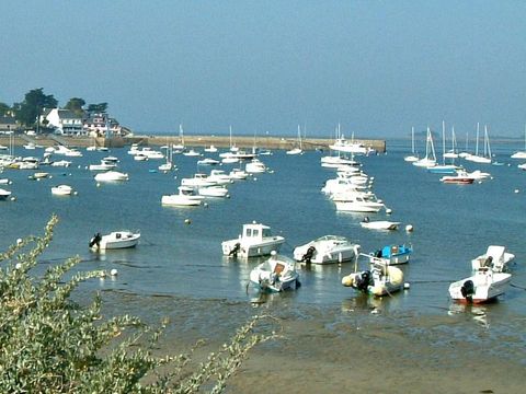 Camping La Ferme de Lann Hoëdic - Camping Morbihan - Image N°65