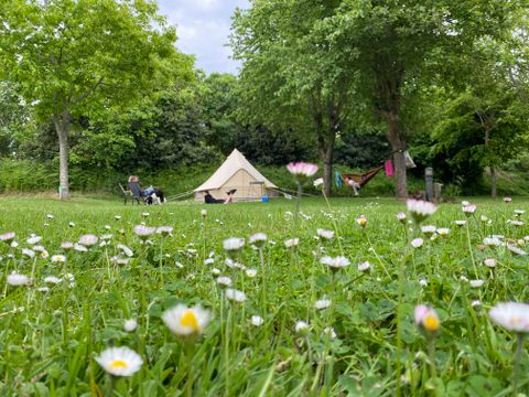 Camping La Ferme de Lann Hoëdic - Camping Morbihan - Image N°25