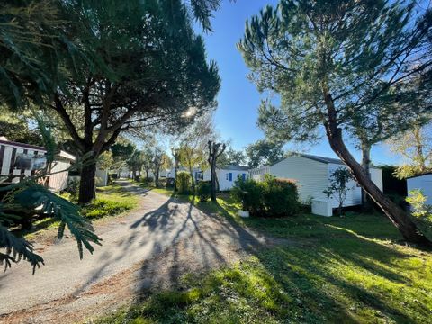 Camping Aqua 3 Masses - Camping Charente-Maritime - Image N°32
