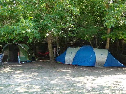 Flower Camping La Beaume - Camping Alpes-de-Haute-Provence - Image N°21