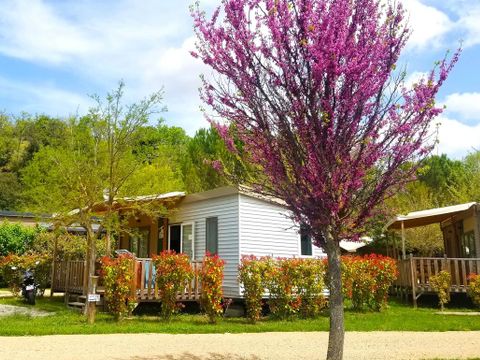 Flower Camping La Beaume - Camping Alpes-de-Haute-Provence - Image N°5