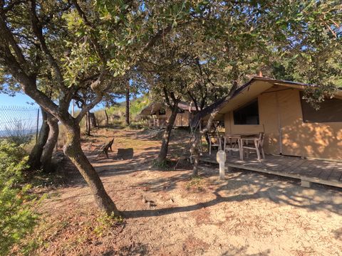 Camping les Terrasses Provençales - Camping Drome - Image N°12