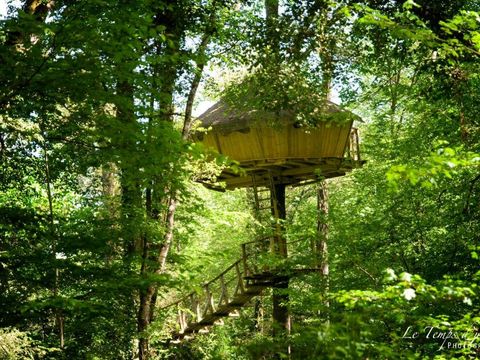 Camping Parc de la Belle Camping Parc de la Belle - Camping Vienne - Image N°9