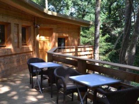 LODGE 6 personnes - Lodge Cocoon tout confort (PMR)