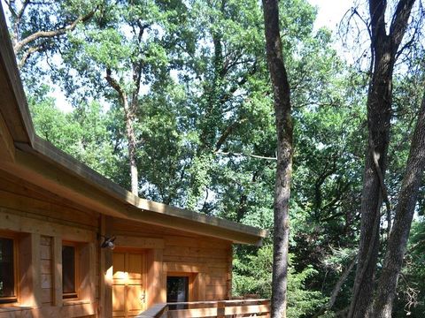 LODGE 6 personnes - Lodge Cocoon tout confort (PMR)