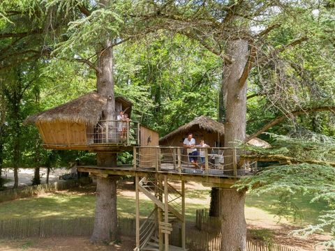Camping Parc de la Belle - Camping Vienne