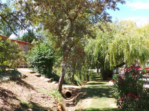 Flower Camping  Le Lac De Thesauque - Camping Haute-Garonne - Image N°18