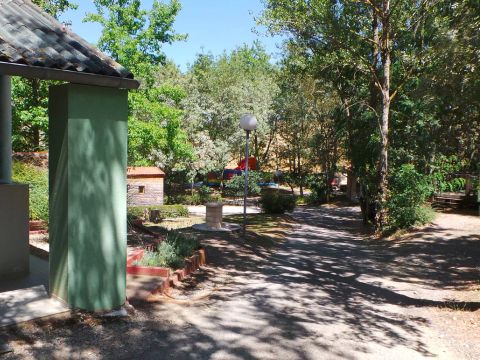 Flower Camping  Le Lac De Thesauque - Camping Haute-Garonne - Image N°30