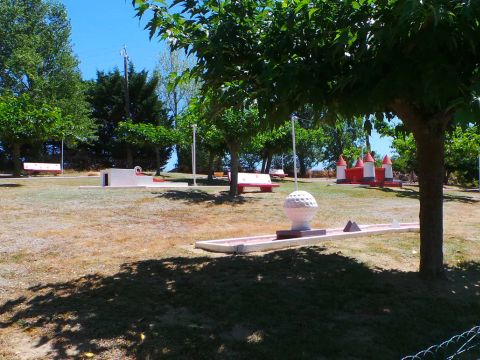 Flower Camping  Le Lac De Thesauque - Camping Haute-Garonne - Image N°15