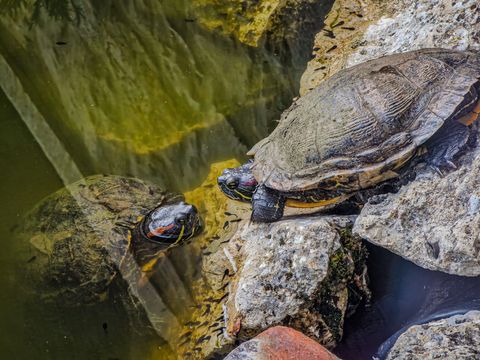 Camping Domaine La Faurie Camping Domaine La Faurie - Camping Lot - Image N°43