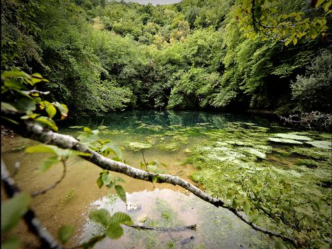Camping Domaine La Faurie Camping Domaine La Faurie - Camping Lot - Image N°48