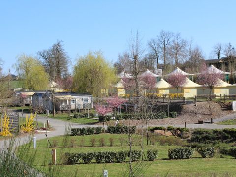 BUNGALOW TOILÉ 6 personnes - Standard  25 m² 2 chambres