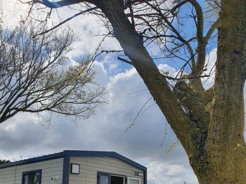 MOBILHOME 2 personnes - Bora avec terrasse 1 chambre