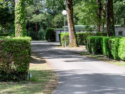 Camping maeva Respire la Comtesse - Camping Landes - Image N°66
