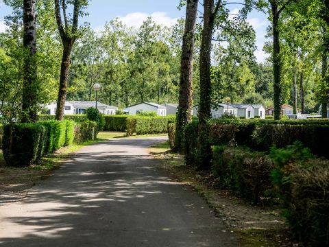 Camping maeva Respire la Comtesse - Camping Landes - Image N°67