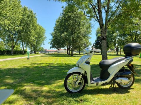Camping de l'Arquebuse - Camping Côte-d'Or - Image N°3