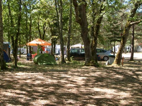 Camping La Foret - Camping Dordogne - Image N°30