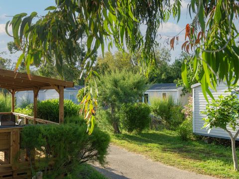 Camping Village Kalliste - Camping Corse du Nord - Image N°12
