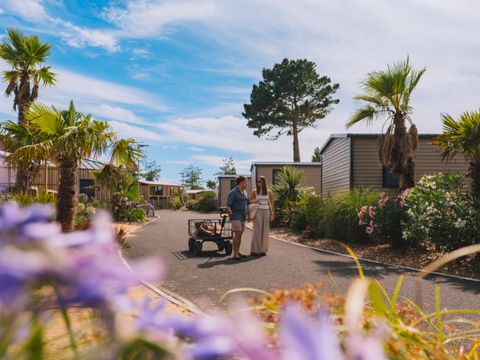 MOBILHOME 6 personnes - PALM 3 chambres  env 33m²