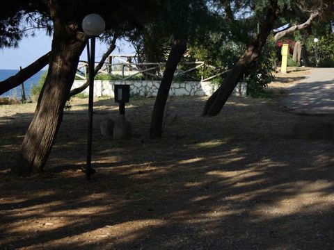 Emplacement - Tente ou caravane