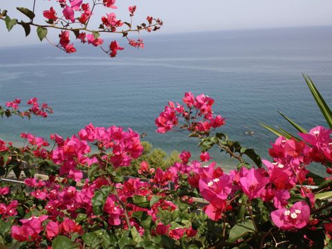 Camping Lo Scoglio - Camping Messine - Image N°16