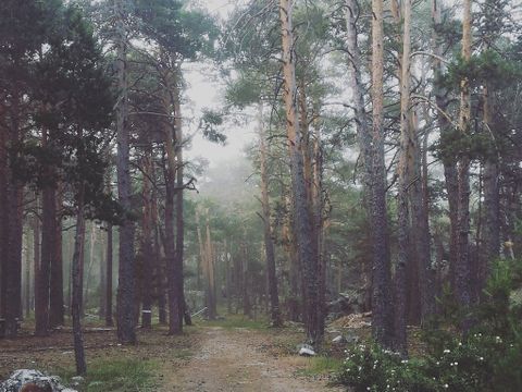 Camping Sierra de Albarracin - Camping Teruel - Image N°10