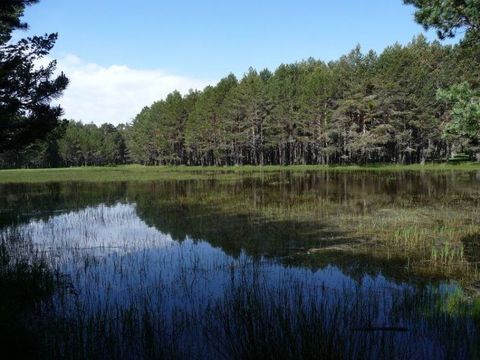 Camping Sierra de Albarracin - Camping Teruel - Image N°31