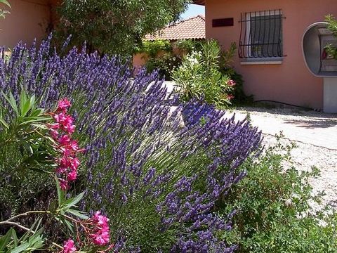 Camping Les Micocouliers - Camping Bouches-du-Rhône - Image N°23