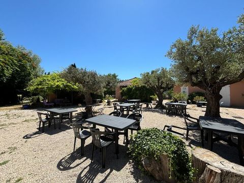Camping Les Micocouliers - Camping Bouches-du-Rhône - Image N°16