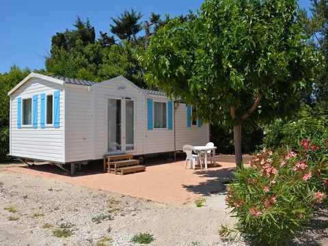Camping Les Micocouliers - Camping Bouches-du-Rhône - Image N°19