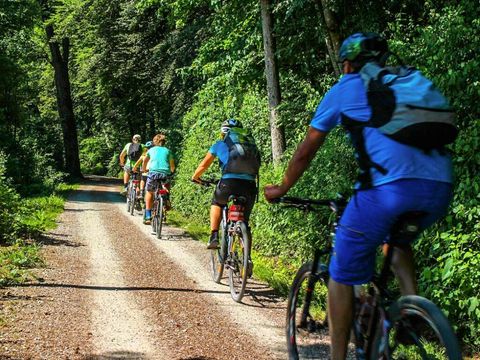 Camping Les Micocouliers - Camping Bouches-du-Rhône - Image N°25
