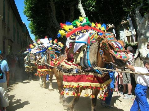 Flower Camping Les Micocouliers - Camping Bouches-du-Rhône - Image N°24