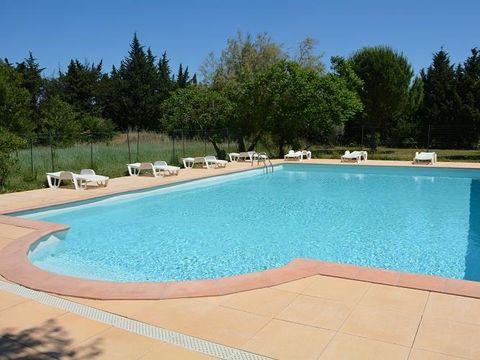 Camping Les Micocouliers - Camping Bouches-du-Rhône - Image N°4