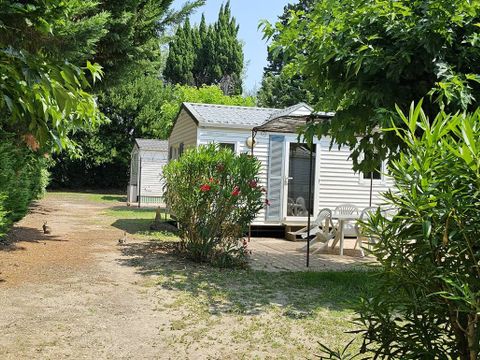 Flower Camping Les Micocouliers - Camping Bouches-du-Rhône - Image N°7