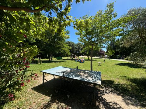 Flower Camping Les Micocouliers - Camping Bouches-du-Rhône - Image N°3