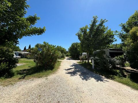 Camping Les Micocouliers - Camping Bouches-du-Rhône - Image N°14