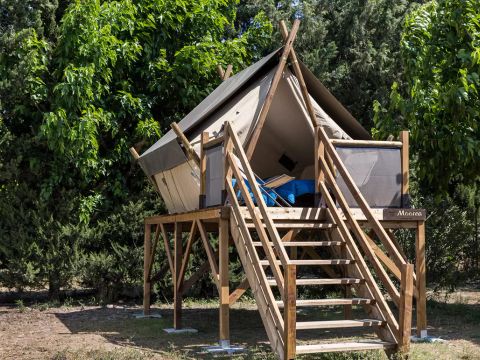 Flower Camping Les Micocouliers - Camping Bouches-du-Rhône - Image N°3