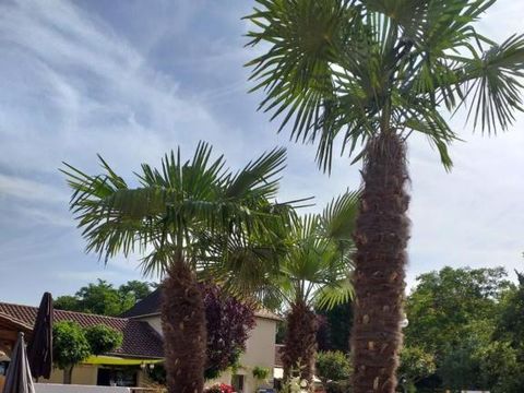 Camping Au P'tit Bonheur - Camping Dordogne - Image N°17