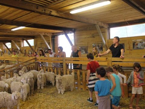 Camping maeva Escapades Au P'tit Bonheur - Camping Dordogne - Image N°29