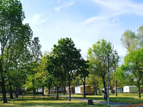 Emplacement - FORFAIT CONFORT( 1 tente, 1 caravane ou 1 camping car + 1 voiture+ èlectricité 10A)