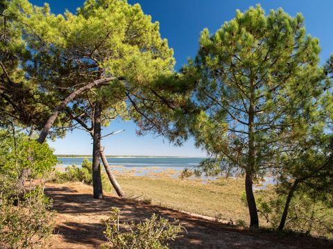 Camping Club La Côte Sauvage 5* - MS VACANCES - Camping Charente-Maritime - Image N°50