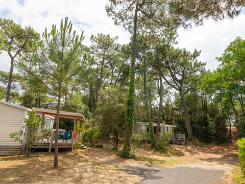 Camping Club La Côte Sauvage - Camping Charente-Maritime - Image N°42