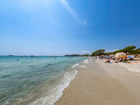 Camping Sole di Sari - Camping Corse du Sud - Image N°27