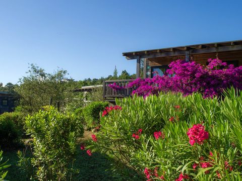 Camping Sole di Sari - Camping Corse du Sud - Image N°12