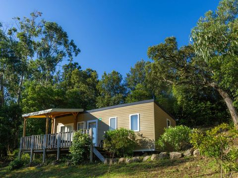 Camping Sole di Sari - Camping Corse du Sud - Image N°4